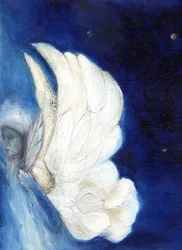 Wings Over London, 2013